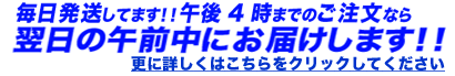 右脳開発のデジヴォ販売センター　英語学習他各種資格学習に