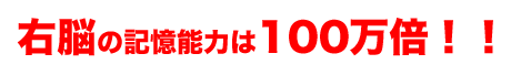 右脳開発のデジヴォ販売センター 英語学習他各種資格学習に