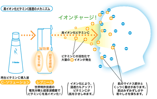 ���u�j�[���C���[�W