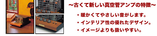 �^��ǃA���v�̓���